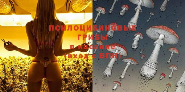 а пвп мука Белокуриха