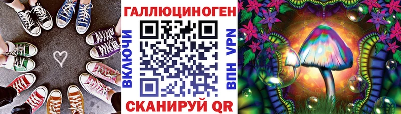 как найти наркотики  Малая Вишера  Псилоцибиновые грибы Psilocybine cubensis 